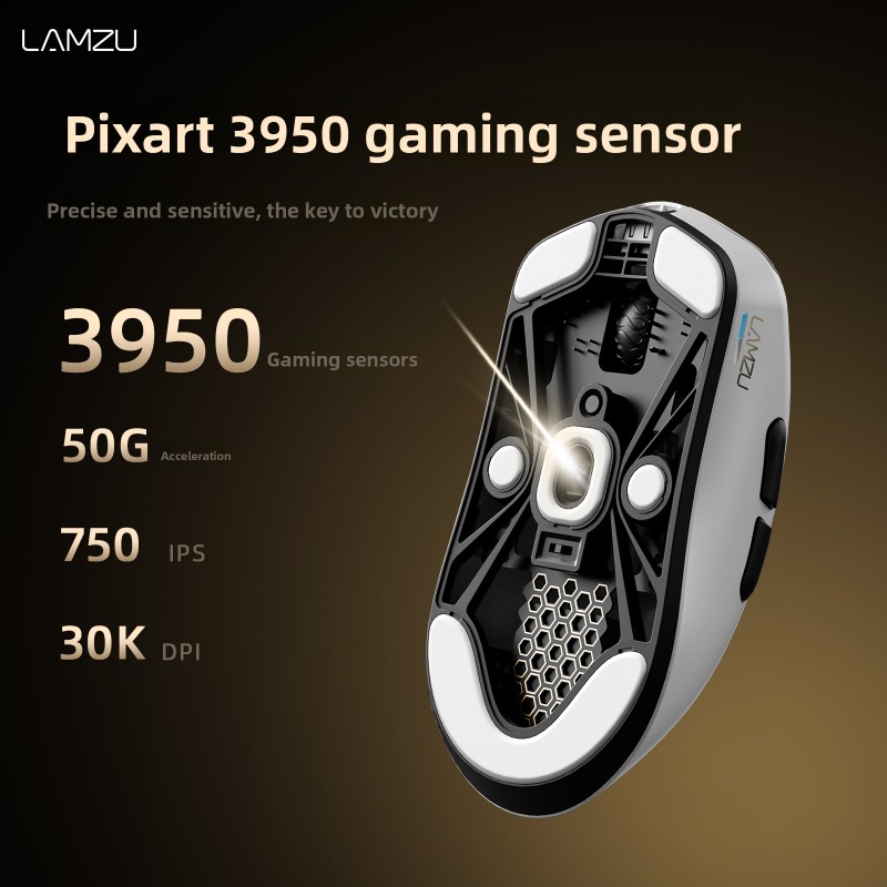LAMZU 무선 게이밍 마우스 8K 폴링 PAW3950 - Esports Gaming Tournaments 리뷰 및 가격